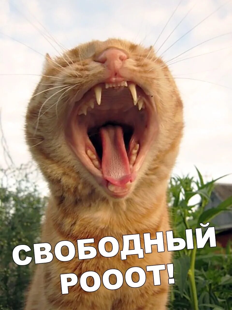 Ааааа т