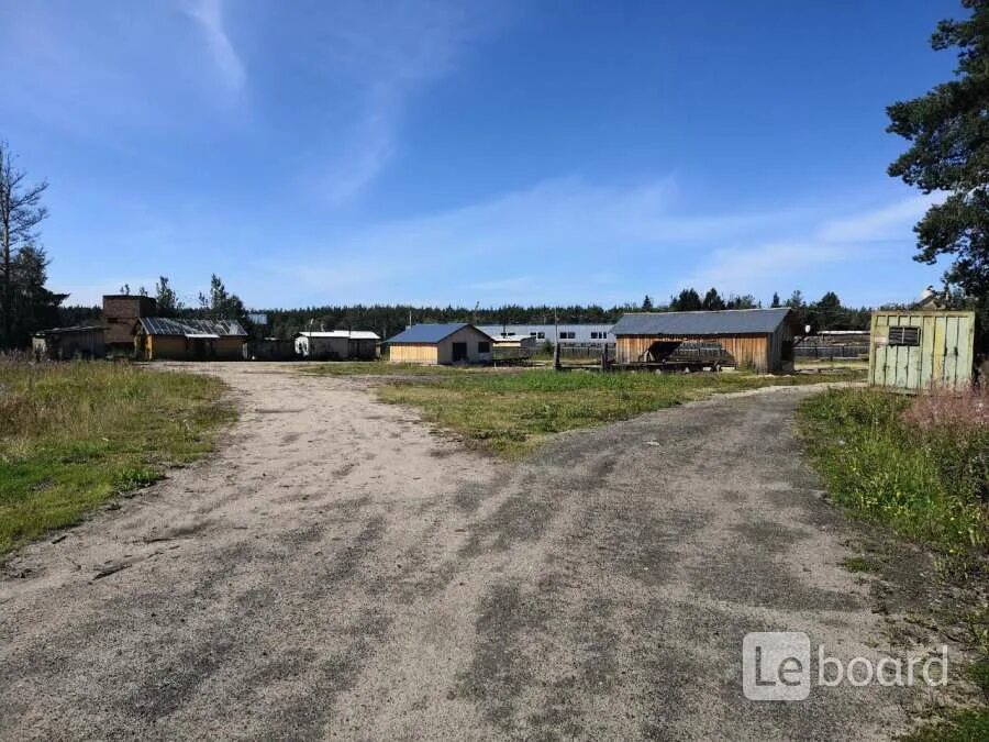 Вельск привокзальная улица , дом 8. Вельск дзержинского 125. Вельск новостройки. Хозьмино вельск. Россия, архангельская область, вельск, улица дзержинского, 109.