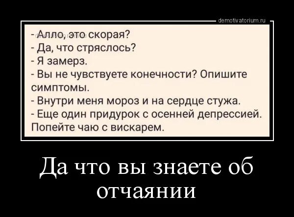 Алло скорая мем. Алло это скорая. Лучшие анекдоты. Цитаты про белую горячку. Галоперидол демотиваторы.