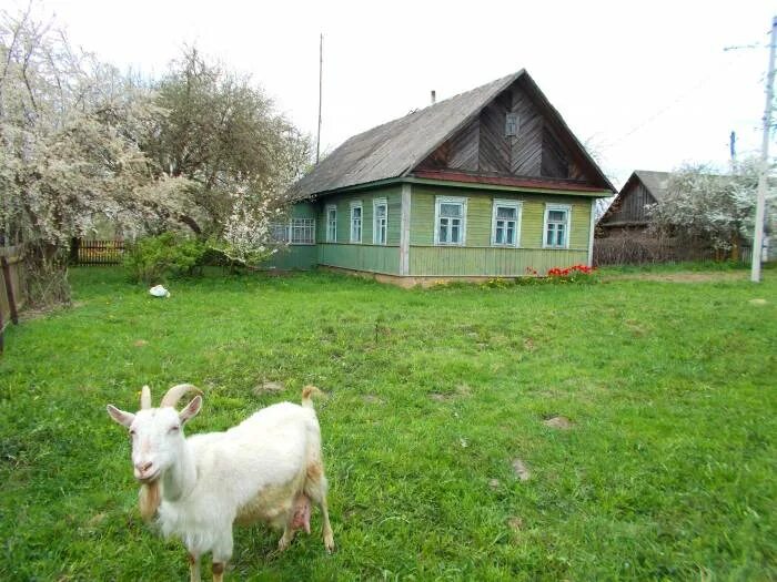 Копыльский район минской области. Тимковичи Копыльский район. Смоличи Копыльский район деревня. Деревня Гулевичи Копыльского района. Деревня Жаволки Копыльский район.