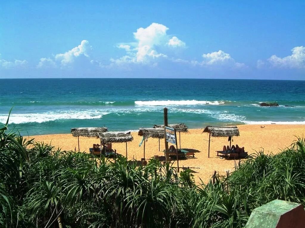 Amaya beach шри. Додандува Шри Ланка. Далауэла Бич Шри Ланка. Пляж Далавелла Шри-Ланка. Додандува Шри Ланка пляж.