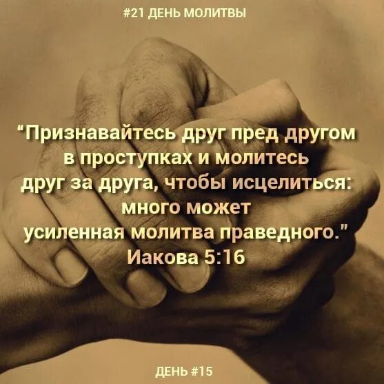 Человек просит прощения. Многое может усиленная молитва. Много может усиленная молитва праведного. Женщина ругается. Мужчина на поводке.