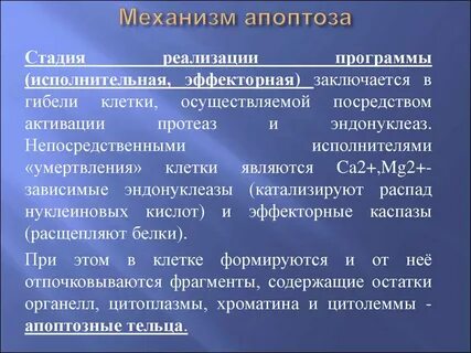 Степень осуществления