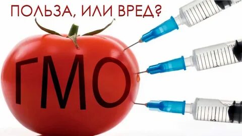 Польза гмо