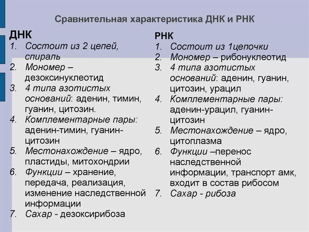 Сравнительная характеристика ДНК И РНК. Характеристика строения ДНК И РНК. Сравнительная характеристика структуры и функций ДНК И РНК. Функции ДНК И РНК кратко.