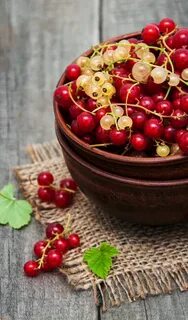 Смородина продукты