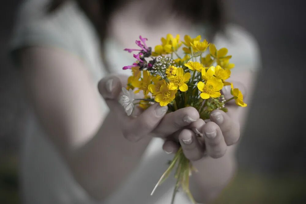 Желаю просто жить. Цветы в ладонях. Цветы радости. Цветы радости жизни. Счастье в руках.