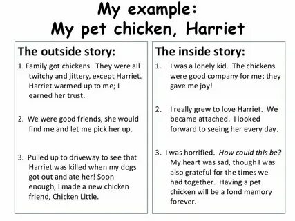 Pet example