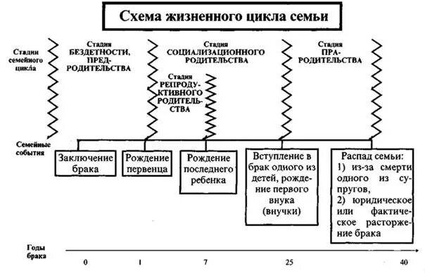 Этапы жизненного цикла семьи схема. Схема фазы жизненного цикла семьи. Жизненный цикл семьи психология семьи. Семейные этапы жизненного цикла.