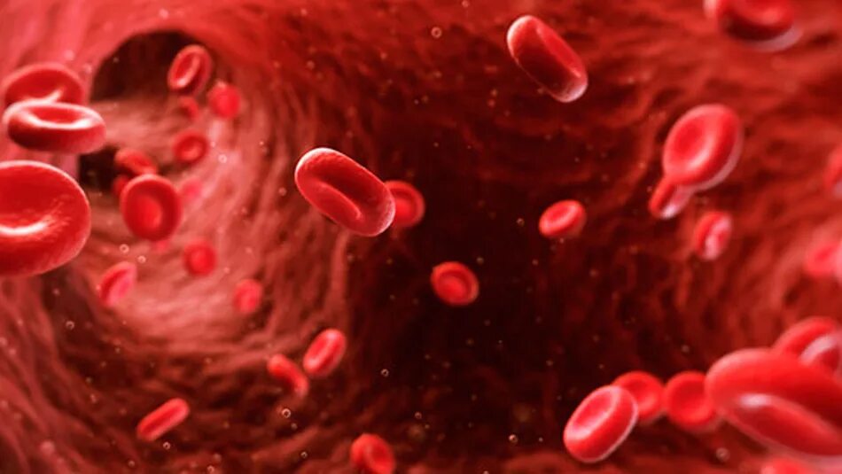Клетки печени в крови