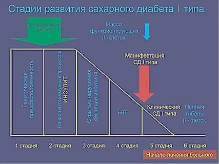 Манифестация это