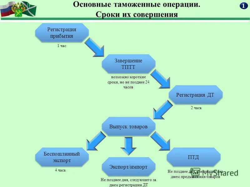 Таможенные операции сроки