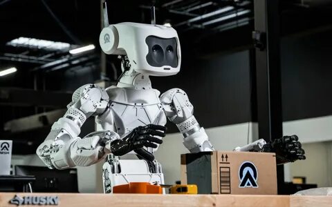 Роботы в мире человека