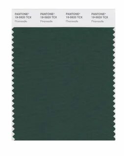 BUY Pantone Cotton Swatch 19-5920 Pineneedle