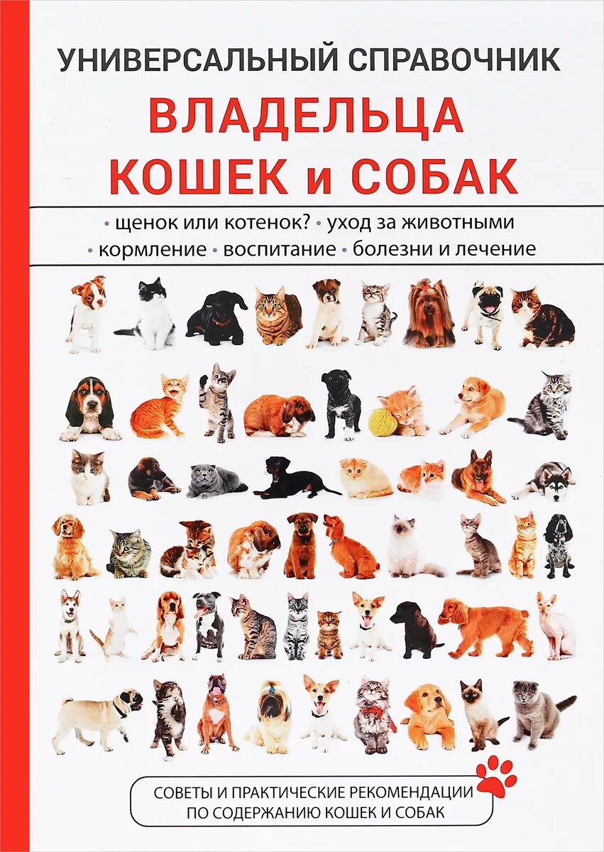 Методы улучшения пород кошек собак в клубах. Породы кошек и собак. Породы домашних кошек и собак. Породы собак и кошек названия. Разные породы кошек и собак.