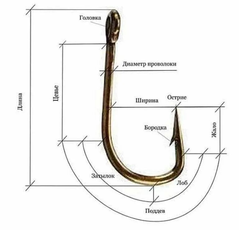 Правильно подобранный крючок