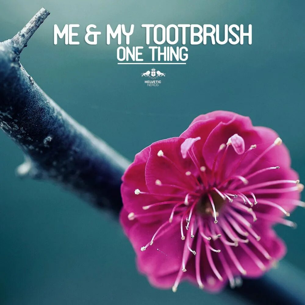 Who use my toothbrush what you do