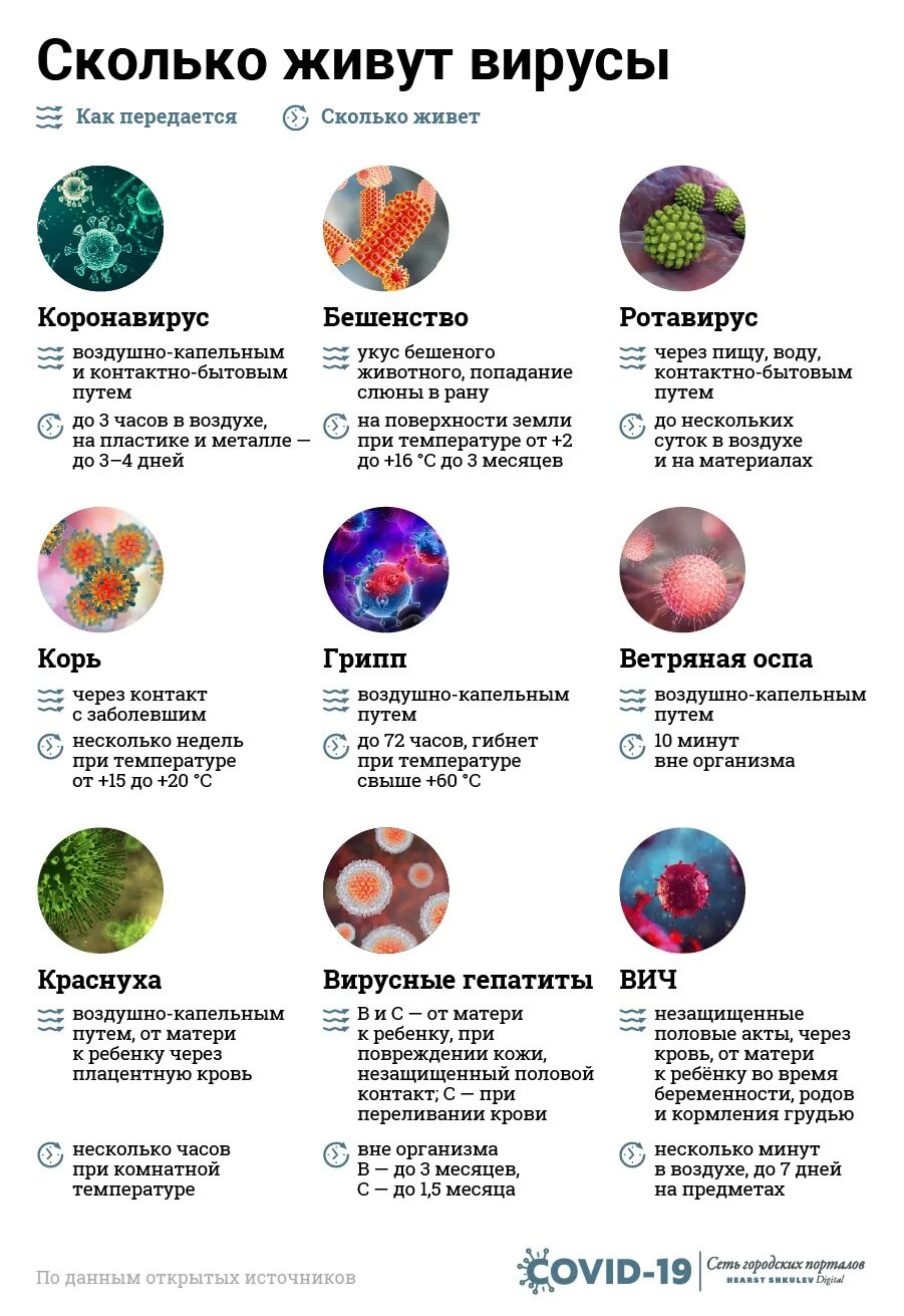 Вне орган