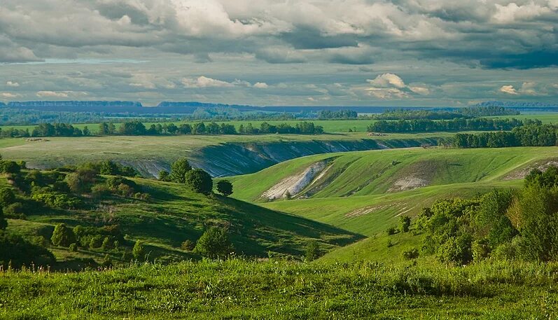 Гладкая поверхность края. Природа Белогорье Белгород. Рельеф Белгородской области. Белогорье Белгородская область пейзажи. Земная поверхность Белгородской области.