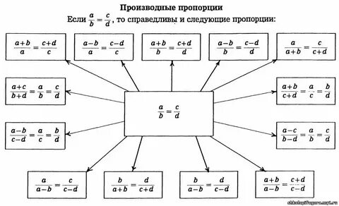 Пропорции 10 класс