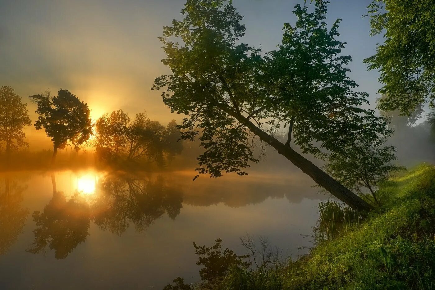 Фотообои вечер. Природа рассвет. Утренний рассвет. Рассвет летом. Рассвет в горах.