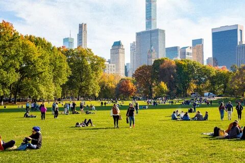 NYC Free Attractions 