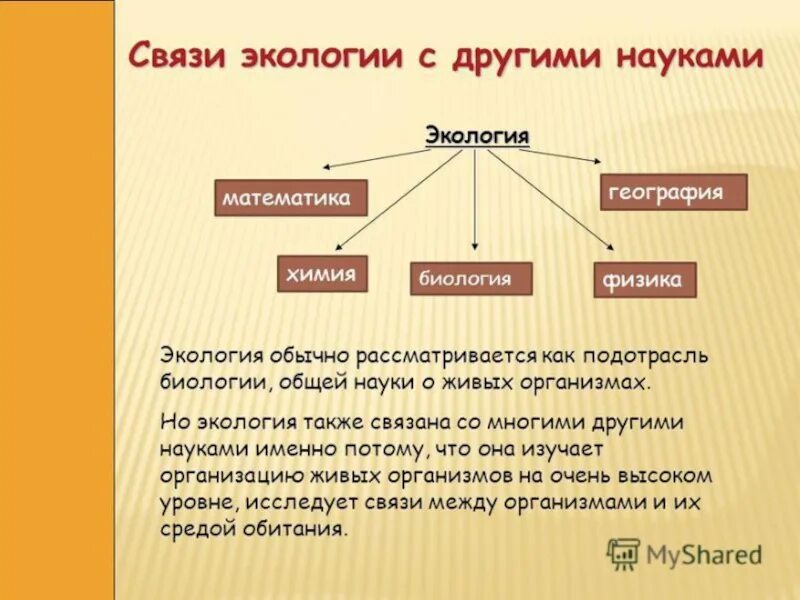 Связь экологии с другими науками. Связь наук с экологией. Экология связана с. Взаимосвязь экологии с другими науками. Связь биологии с другими