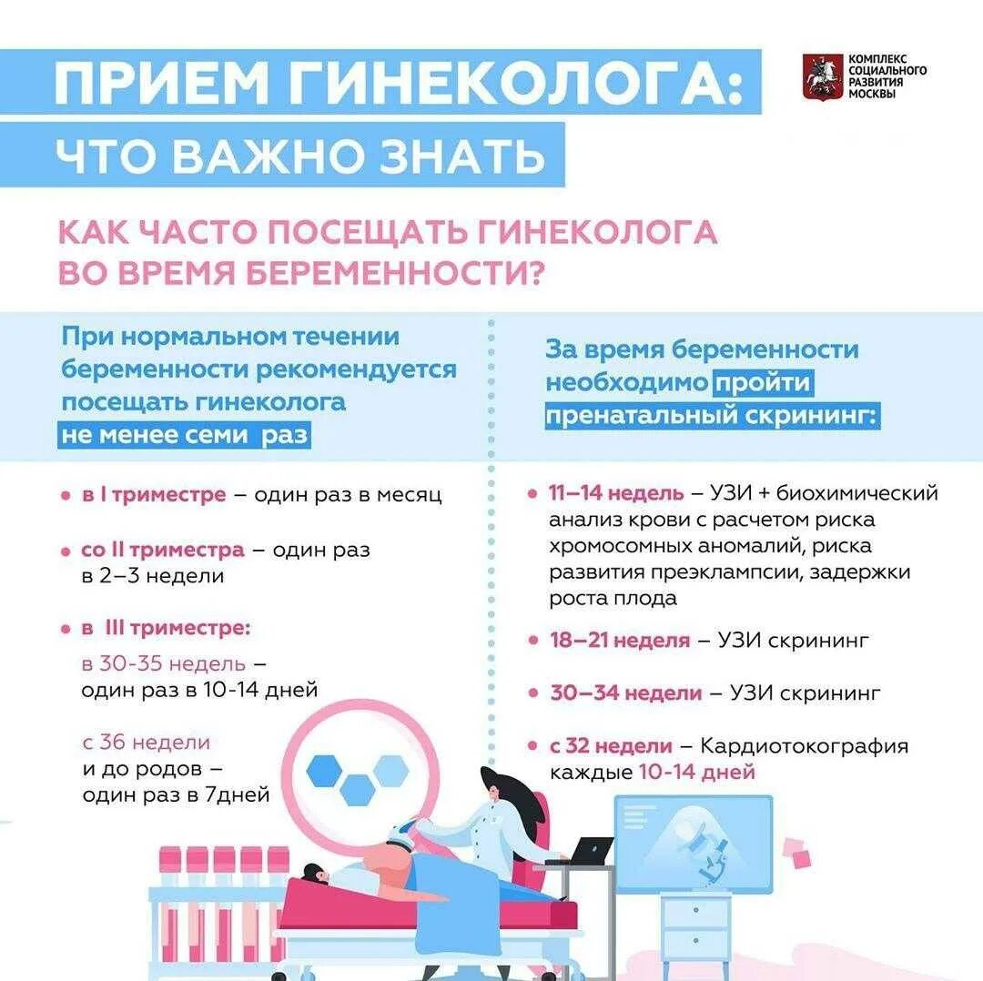Во сколько недель делают первое
