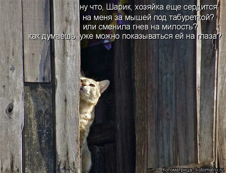 Сменить гнев на. Высказывания про гнев. Гнев на милость фразеологизм. Гнев человеческий на китайском. Цитаты про злость и гнев.