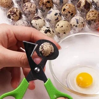 Ножницы для перепелиных