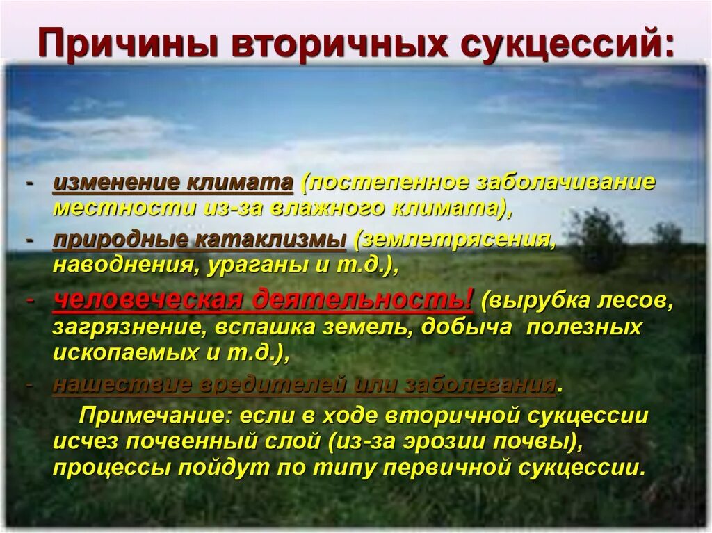 Естественное изменение. Причины вторичной сукцессии. Причины возникновения сукцессии. Причины первичной сукцессии. Причины возникновения первичной сукцессии.