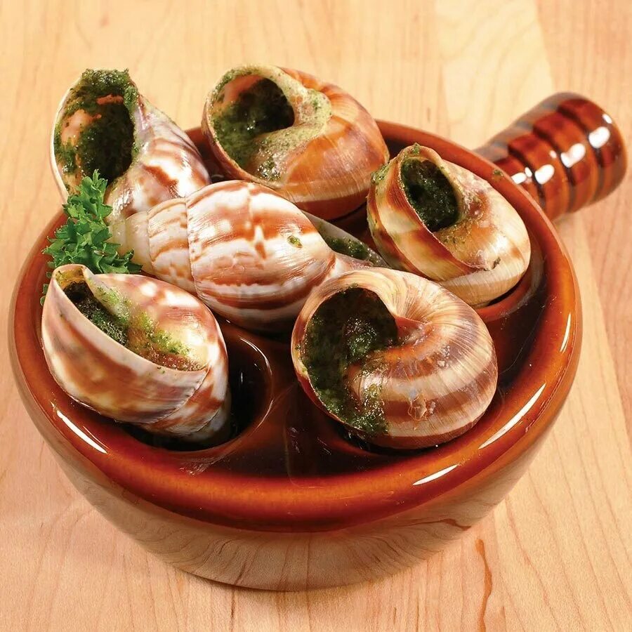 Эскарго де Бургонь. Улитка Виноградная escargots. Улитки Эскарго де Бургонь. Эскарго по бургундски. Улитка с курицей