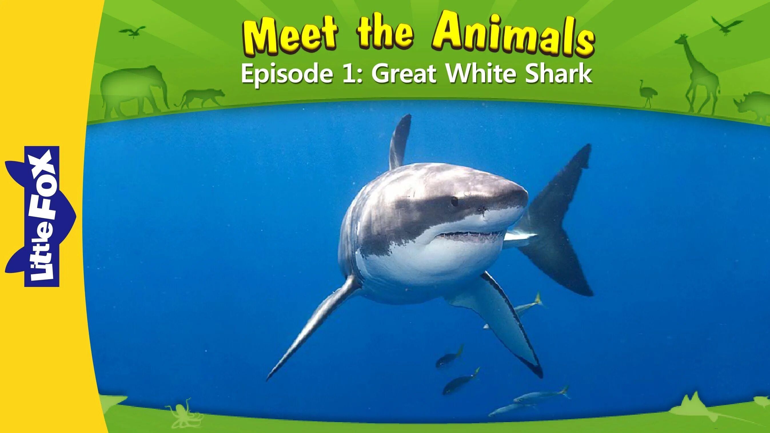 Meet the animals little fox. Meet the animals little fox 1. Meet the animals 1. Meet the animals video. Meet the animals little fox english.