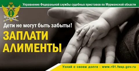 Взыскание алиментов приставами