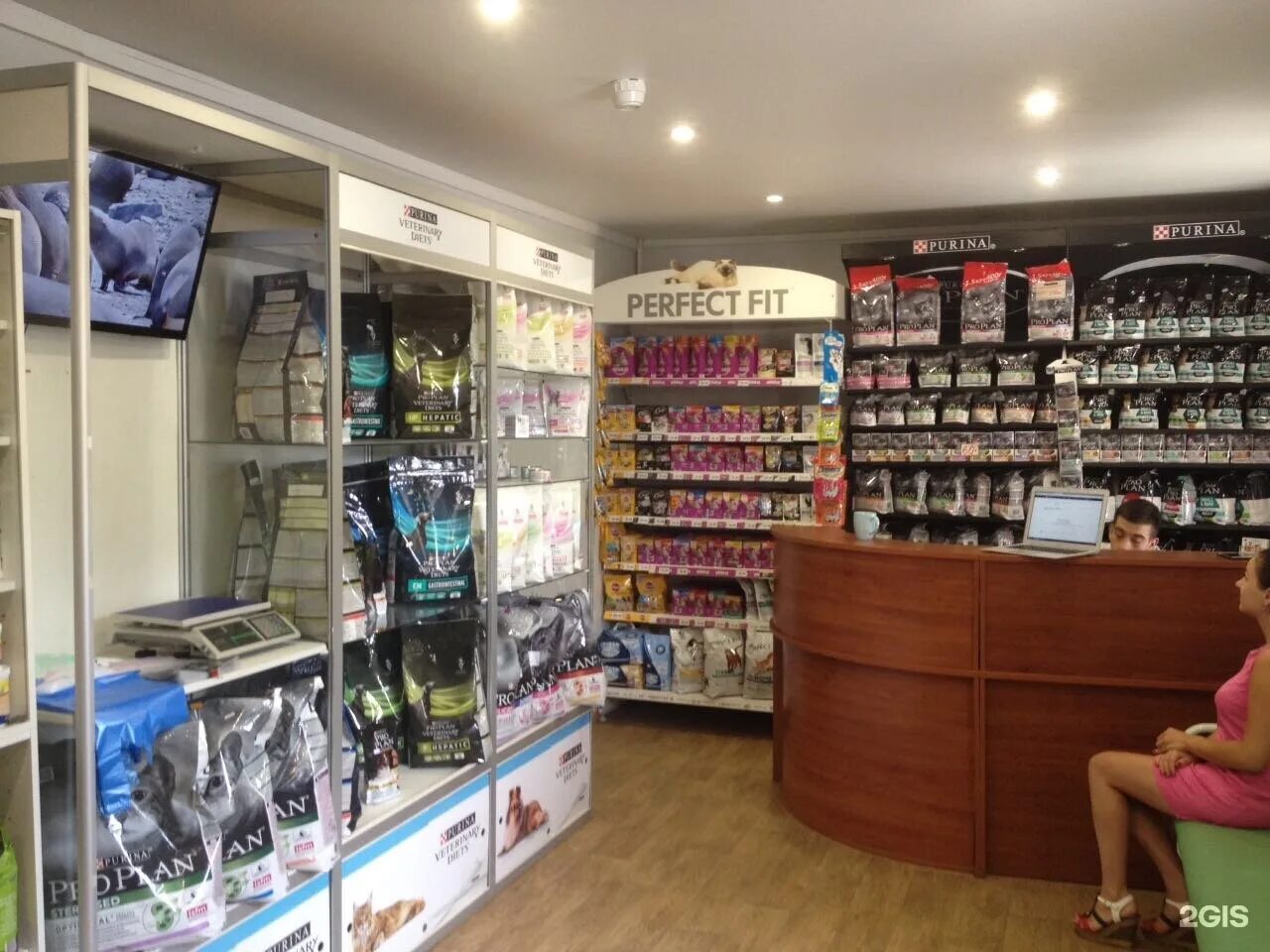 четыре лапы, москва, славянский бульвар. зоомагазин 4 лапы вывеска. 4 лапы волжский. магазин четыре лапы в курске. москва волжский бульвар магазин 4 лапы.