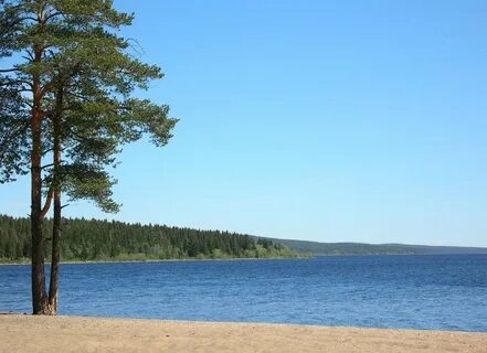 Лососинное петрозаводск