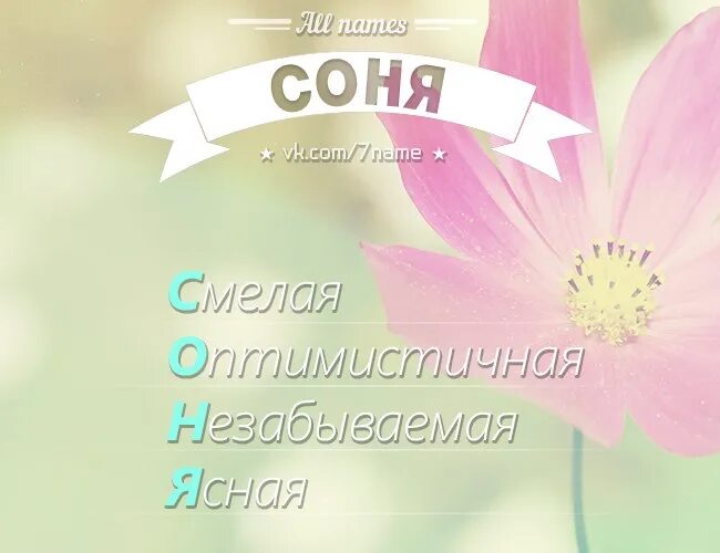 План рассказа соня татьяна толстая