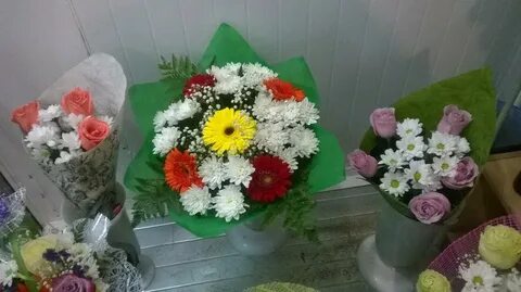 Дом цветов тула