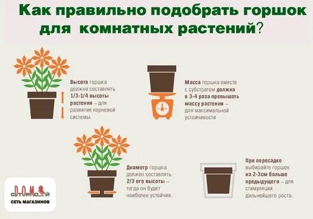 Как правильно подобрать цветы