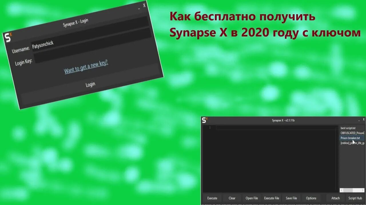 Synapse x roblox. Synapse x чит. Synapse x Key. Synapse x Serial Key. Synapse x Serial Key Generator.