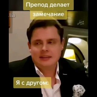 Шавка шваль
