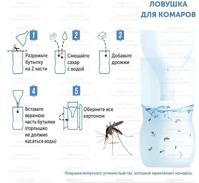 Как отпугнуть мошек. Как отпугнуть мошек