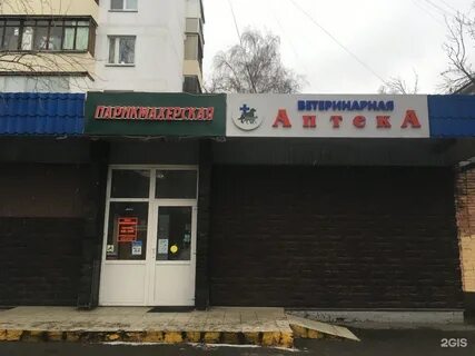 2 владимирская 59 39