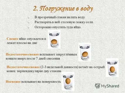 Значение блюд из яиц в питании