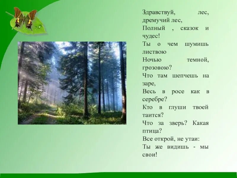 Где песенка в лесу. Здравствуй лес дремучий лес полный сказок. Стихотворение Здравствуй лес. Лес полный сказок и чудес. Дремучий лес, полный сказок и чудес..