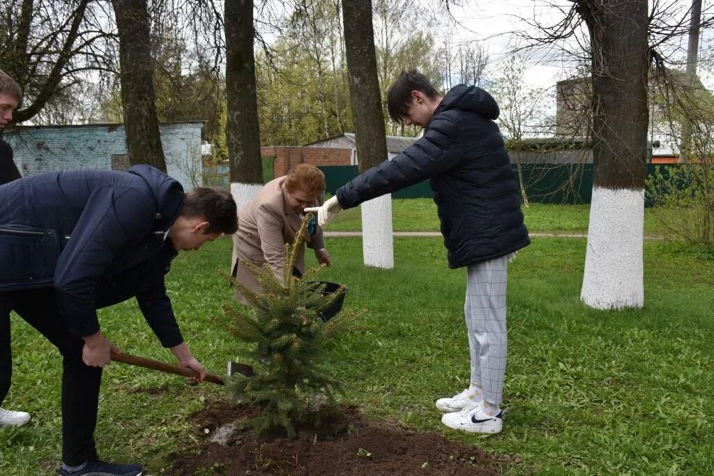 Сад памяти в школе. Акция аллея памяти. Сад памяти видео для школьников. Сад памяти выпускники. Сад памяти в доу.