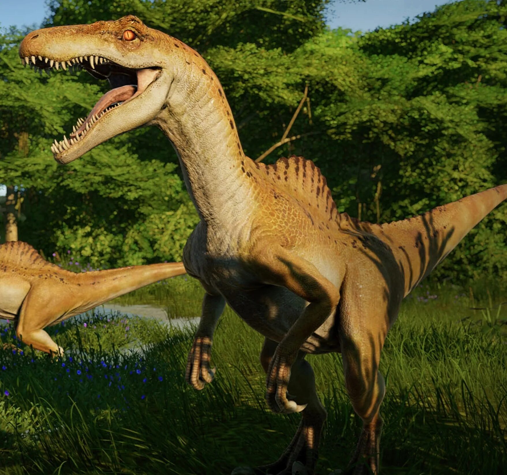 Спинораптор. Спинораптор Jurassic World Evolution. Индораптор и Спинозавр. Spinoraptor Roar. Карнораптор Jurassic World Evolution.