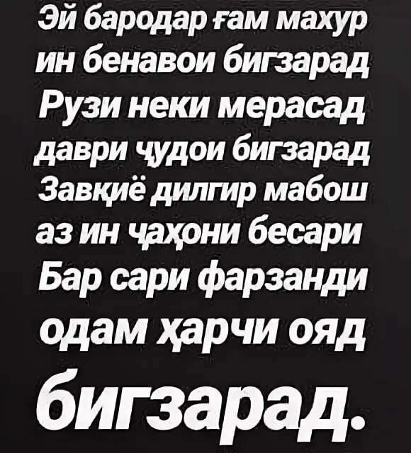 Табрикоти ба. Бародар Шер. Табрикнома бахри баподар. Зодрузмуборак бародар. Табрикот бо рузи зодруз.