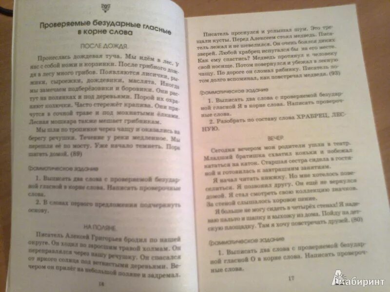 Грибная пора диктант. Диктант муравьи. Диктант повышенной сложности 2-3 класс Узорова. Диктант 4 класс муравьи. Диктант муравьи 6 класс.