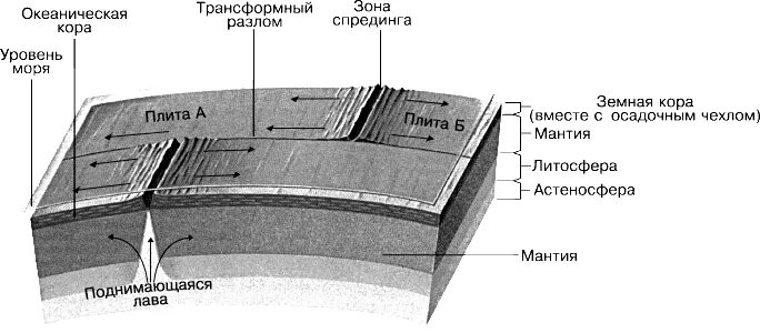 Сдвиг литосферных плит трансформный разлом. Трансформные разломы границы. Линии разлома земной коры. Строение зоны спрединга. Изгиб в земной коре 7 букв